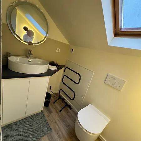 Prázdninový dům Just In Colmar, Maison Complete Avec Parking Prive *
